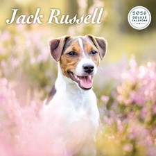Jack Russell 2026 Deluxe