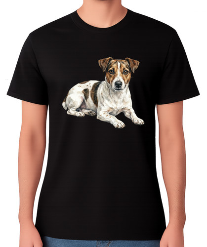 Jack russell terrier dog - jack,