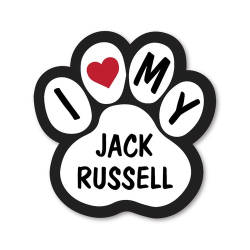 Love jack russell car - love,