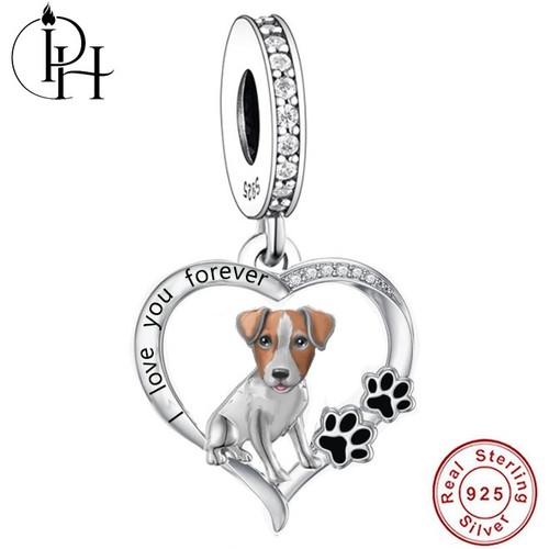 Jack russell terrier dog - russell,