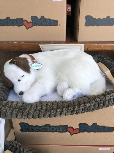 Precious petzzz jack - -,