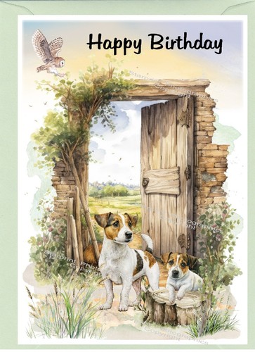 Jack russell terrier dog - jack,