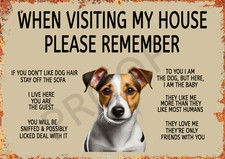 Funny Dog Jack Russell Metal