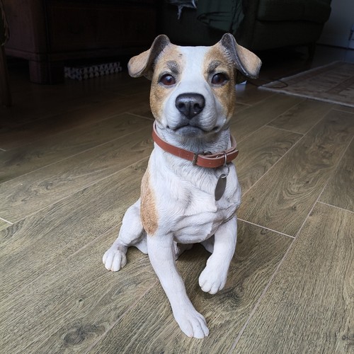 Jack the - "jack", russell