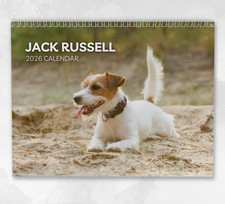 Jack Russell Calendar 2026