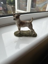 Jack Russle Terrier Standing