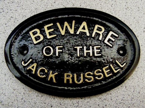 Jack russell beware dog sign - jack,