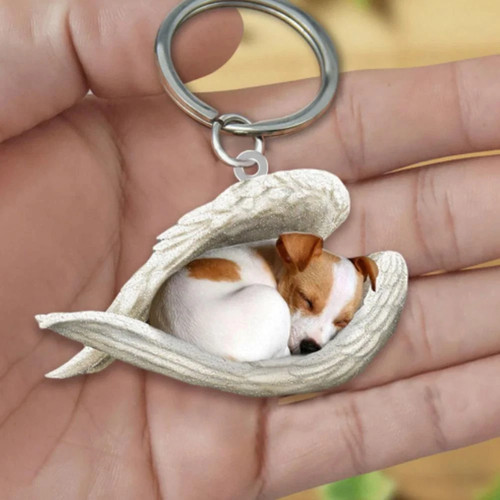 Cat dog sleeping angel - sleeping,
