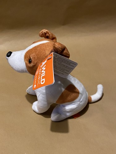 Jack russell terrier - terrier, 7