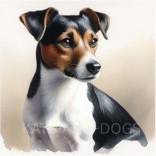 JACK RUSSELL Watercolour ART