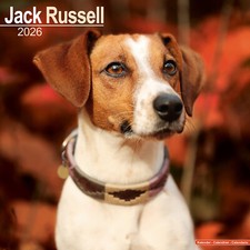 Jack Russell 2026 Calendar |