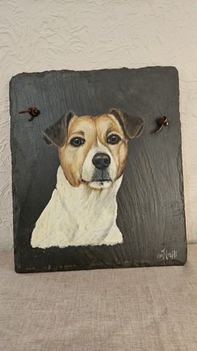 Jack russell dog portrait - dog,