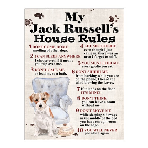 Jack russell house - jack, rules