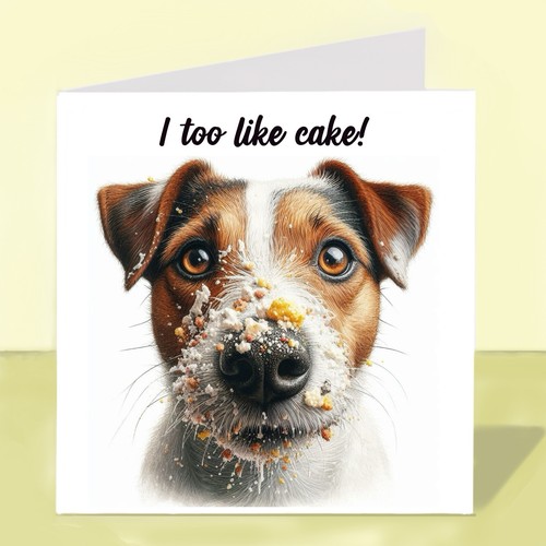 Jack russell terrier - russell, dog