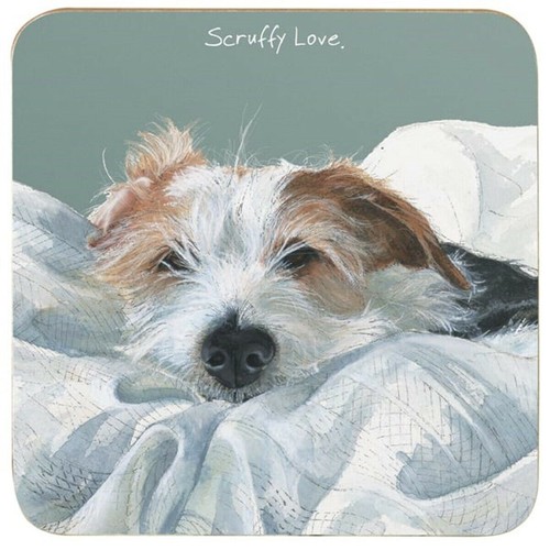 Wire hair jack russell dog - hair,