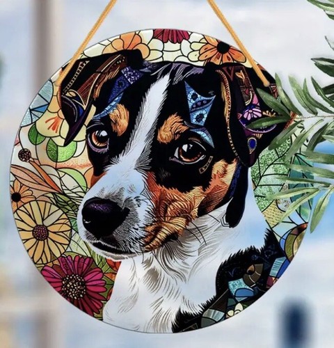 Jack russell terrier dog lover - dog,