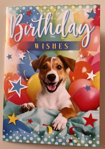 Cute jack russell - cute,