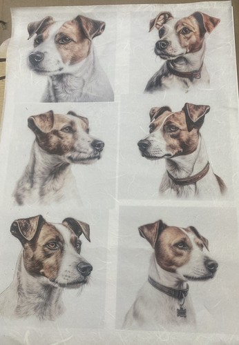 Rice paper for - for, decoupage,