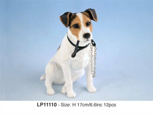 Jack russell terrier dog - jack,