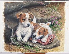 Jack Russells 1000 Piece